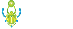 FUMIGACION DE PULGAS DF
